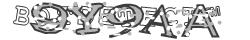 Retype the CAPTCHA code from the image
